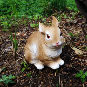 정원 인형 갈색 토끼 중 6R14061