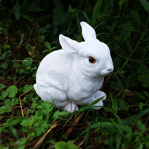 정원 인형 흰 토끼 중 6R14064